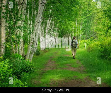 Escursionista passeggiate lungo il sentiero a Daly punto Riserva Naturale, New Brunswick, Canada Foto Stock