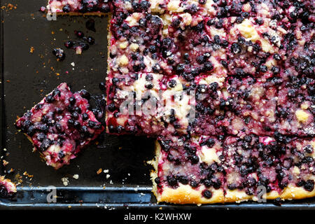 Fatti in casa e frutta di ricotta kolach sul vassoio da forno dall'alto. Foto Stock