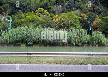 Agen, Agen acquedotto Foto Stock