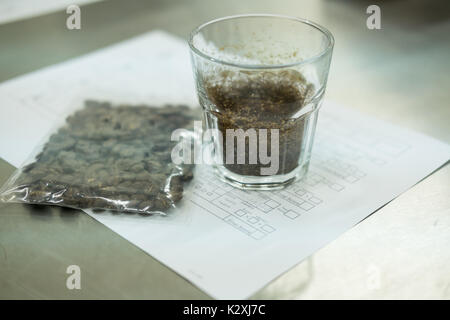 Bicchiere di caffè per un degustatore di odore e sapore aromatico e di sapore ruota. arte della percezione di aroma di caffè appena preparato. coppettazione esame. Foto Stock