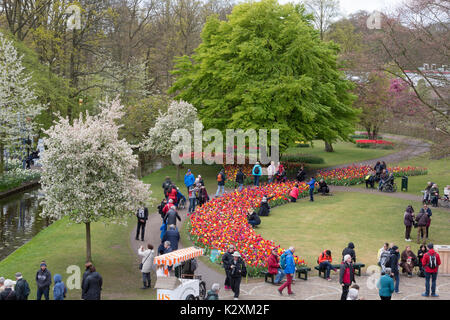 Giardini Keukenhof, Paesi Bassi Foto Stock