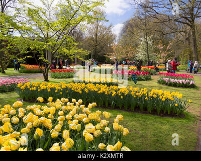 Tulipani e altri bulbi di primavera a Giardini Keukenhof, Olanda Foto Stock