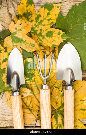 Ricordo gli attrezzi da giardino. Foto Studio Foto Stock