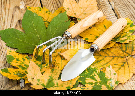 Ricordo gli attrezzi da giardino. Foto Studio Foto Stock