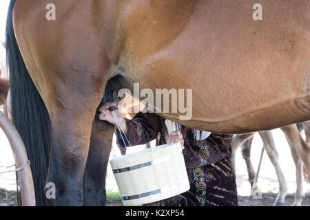 Latti donna un cavallo a Bishkek, Kirghizistan per fornire il nutrimento per la sua famiglia il 27 maggio 2017 Foto Stock