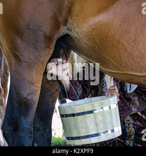 Latti donna un cavallo a Bishkek, Kirghizistan per fornire il nutrimento per la sua famiglia il 27 maggio 2017 Foto Stock