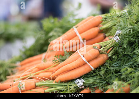 Organic coltivati localmente le carote impilati a California mercato agricolo in autunno Foto Stock