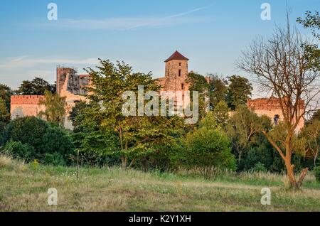 RUDNO, Polonia - Agosto 13, 2017: Vecchia storiche rovine del castello Tenczyn in Rudno, Polonia. Foto Stock