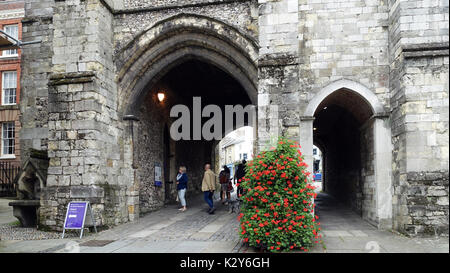 La Cattedrale di Winchester, Winchester, Hampshire, Inghilterra, Regno Unito Foto Stock