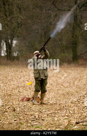 Uomo sparando pistola sparata su Pheasant Shoot Foto Stock