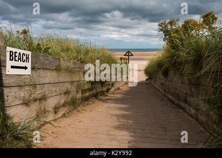 La via di accesso alla spiaggia di Alnmouth, Costa di Northumberland, Regno Unito Agosto 2017 Foto Stock