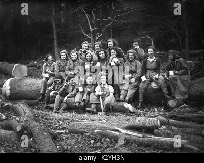 Donna Terreno esercito o terra le ragazze di legname Corps facendo lavori forestali in Inghilterra del sud durante la Seconda Guerra Mondiale Foto Stock