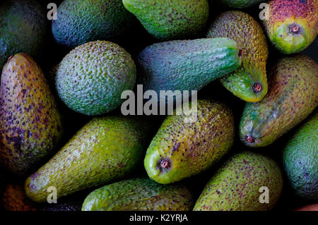 Close up di avocadi nella casella Foto Stock