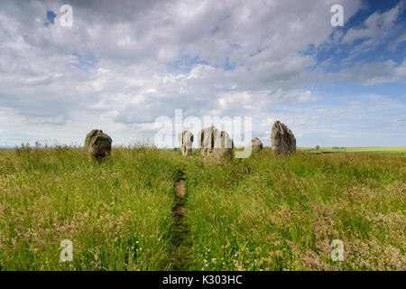 Estate al Duddo pietre, un piccolo cerchio di pietra vicino alla frontiera scozzese in Northumberland Foto Stock