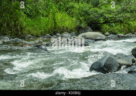 Rio Mindo, western Ecuador, il fiume che attraversa cloudforest a 1400m di altitudine. Foto Stock