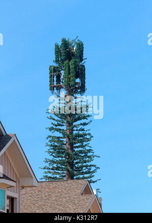 Una torre di comunicazione mal camuffato come un pino sorge in una zona residenziale area urbana. Foto Stock