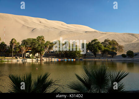 Gli alberi di palma, Huacachina Oasis e dune, vicino a Ica, Perù, Sud America Foto Stock