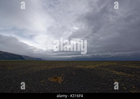 Bizzarre formazioni di lava circondato da erba di cotone, Skaelingar rifugio di montagna sul bordo del Skafta-lava, vicino Skafta Foto Stock