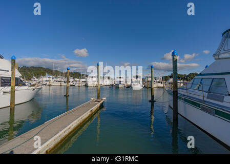 Grandi yacht in Whitianga Coromandel, Marina in Nuova Zelanda. Big Game barche da pesca ormeggiate sulla marina Foto Stock