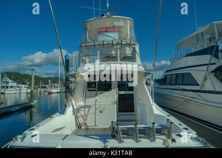 Grandi yacht in Whitianga Coromandel, Marina in Nuova Zelanda. Big Game barche da pesca ormeggiate sulla marina Foto Stock