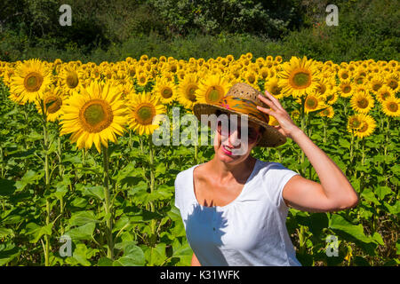 Donna con cappello in un campo di girasoli in estate. Las Merindades County Burgos, Castiglia e Leon, Spagna, Europa Foto Stock