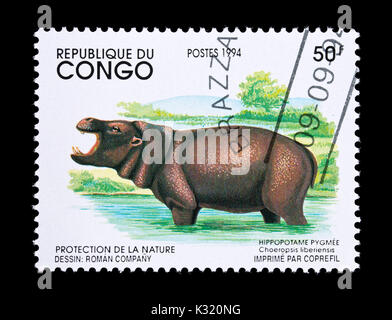 Francobollo dal Congo raffigurante un pigmeo Ippopotamo (Choeropsis liberiensis o Hexaprotodon liberiensis) Foto Stock