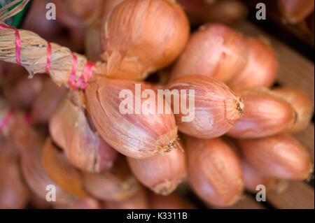 Stringa di scalogno street market, Castillonnès, Valle del Lot, Francia Foto Stock