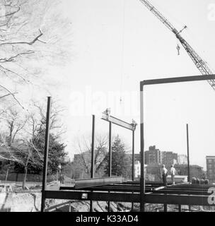 Durante le prime fasi di costruzione del Milton S Eisenhower biblioteca presso la Johns Hopkins University, i fasci sono messi in posizione in modo da creare una struttura al di sopra del suolo, con un altezza di abbassamento della gru un fascio con due lavoratori seduto su entrambe le estremità, in aria in alto come un'altalena, mentre due lavoratori Indossare copricapi rigidi guarda dal di sotto, con gli alberi e gli edifici del campus confinanti con il progetto terra, Baltimore, Maryland, 1963. Foto Stock