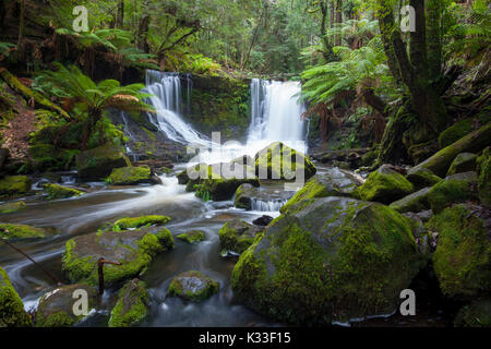 Horseshoe Falls - Mt. Campo Parco Nazionale - Tasmania - Australia Foto Stock