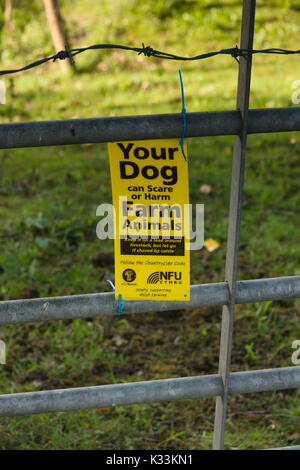 Fattoria avviso emesso dalla consulenza NFU dog walkers per mantenere i loro cani al guinzaglio per impedire l uccisione di pecore o bestiame preoccupante Foto Stock