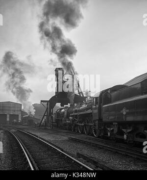 La mattina presto a grossmont sulla North Yorkshire Moors railway, Regno Unito Foto Stock