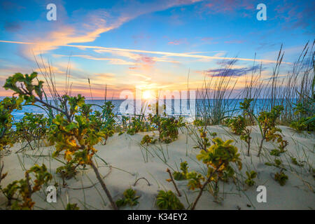 Tramonto su una spiaggia nei pressi di Gammel Skagen Foto Stock