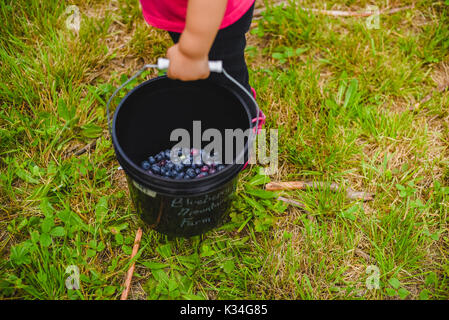 Un bambino piccolo tenendo un secchio pieno di mirtilli Foto Stock