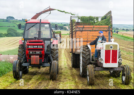 Vintage i trattori e i macchinari dare una dimostrazione di insilato in Ballinascarthy, West Cork, Irlanda. Foto Stock