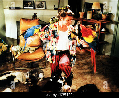 ACE VENTURA - PET DETECTIVE NOI 1994] Jim Carrey Foto Stock