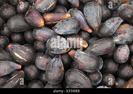 Comune fig frutti i laici sul contatore di street food market sull' isola di Madeira, Portogallo. Close-up foto con messa a fuoco selettiva Foto Stock