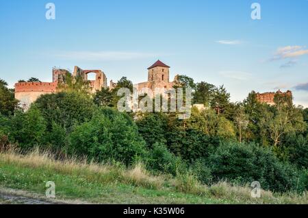 RUDNO, Polonia - Agosto 13, 2017: Vecchia storiche rovine del castello Tenczyn in Rudno, Polonia. Foto Stock