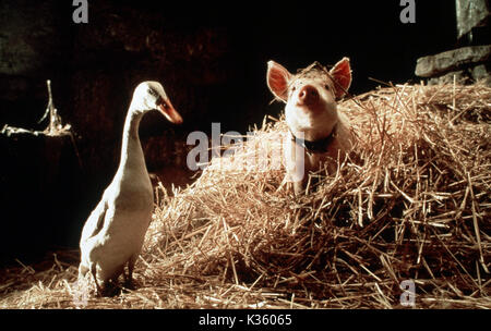 Il babe: PIG NELLA CITTÀ KENNEDY MILLER PRODUCTIONS data: 1998 Foto Stock