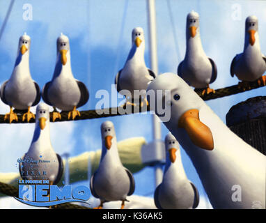 Alla ricerca di Nemo I GABBIANI SI PREGA DI CREDITO/Disney Pixar data: 2003 Foto Stock