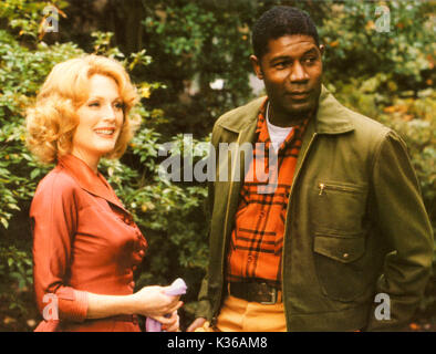 Lontano dal paradiso Julianne Moore, Dennis Haysbert data: 2002 Foto Stock