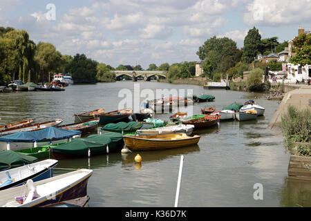 Richmond, SW LONDRA, REGNO UNITO. Il 1° settembre 2017. Barche a remi ormeggiate sul fiume a Richmond upon Thames, a sud-ovest di Londra. Credito: Julia Gavin/Alamy Live News Foto Stock