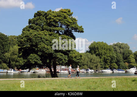 Richmond, SW LONDRA, REGNO UNITO. Il 1° settembre 2017. Un bel giorno per una passeggiata lungo il fiume a Richmond upon Thames, a sud-ovest di Londra. Credito: Julia Gavin/Alamy Live News Foto Stock