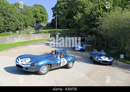 Cinque storiche D-type Jaguar visita circuito di Brooklands, Weybridge, Surrey, Inghilterra, Regno Unito. Il 1° settembre 2017. D-type Jaguar ha vinto la Le Mans 24hr gara endurance in 1955, 1956 e 1957. In 1957, D-tipi erano posti 1-2-3-4-6, con solo un solitario Ferrari in 5a rovinare la parata. Nella foto, auto numerati da '6' (Ecurie Ecosse, XKD 504, lungo naso") è stato il primo a lungo naso D-Tipo costruito. Auto '3' (Ecurie Ecosse, XKD 606, lungo naso") è il 1957 Le Mans vincitore e vettura del '17' (Equipe Los Amigos, XKD 513, 'Short-naso') è terzo. Numero '25' (Jaguar funziona, XKD 605, lungo naso") era sesto a Le Mans nel 1956. Foto Stock