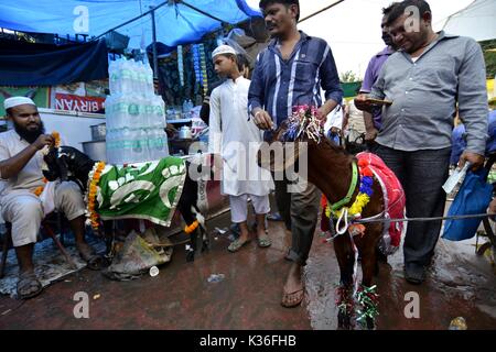 New Delhi, India. 1 Sep, 2017. La capra è visto in una strada vicino a Jama Masjid mercato alla vigilia di Eid al-Adha festival di New Delhi, India, Sett. 1, 2017. I musulmani in India si stanno preparando a celebrare il festival annuale di Eid al-Adha, o la festa del sacrificio. Credito: Stringer/Xinhua/Alamy Live News Foto Stock