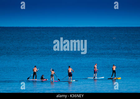 Aberystwyth Wales UK, sabato 02 settembre 2017 UK Meteo - su un luminoso e caldo settembre mattina un gruppo di amici andare paddleboarding sulla calma piatta mare off Aberystwyth Wales. Il clima è impostato su Modifica per tutta la notte, girando coperto con una fascia di spazzamento di pioggia da ovest Photo credit: Keith Morris/Alamy Live News Foto Stock