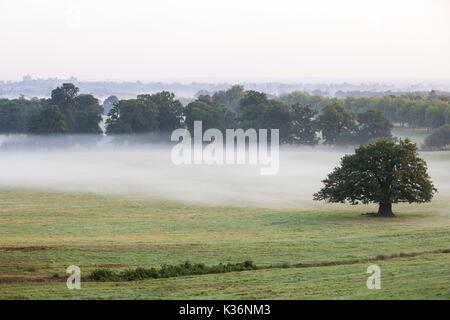 Windsor, Regno Unito. Il 2 settembre, 2017. Una vista verso il Castello di Windsor oltre early morning mist drifting attraverso Windsor Great Park. Credito: Mark Kerrison/Alamy Live News Foto Stock