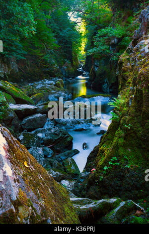 Il mistico e magico Fairy Glen o welsh Ffos Noddun nella profonda forra nascosta sul fiume Conwy in Galles del Nord vicino alla città di Betwys-y-coed Foto Stock