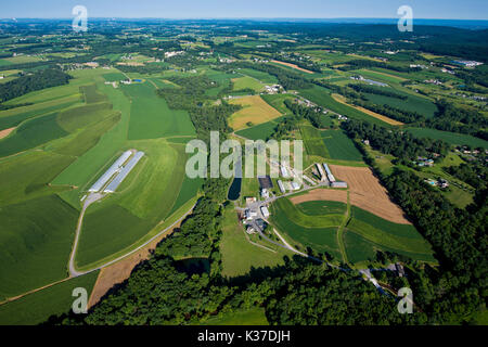 2016 eccezionale cooperatore premiata azienda agricola, MANHEIM PA Foto Stock