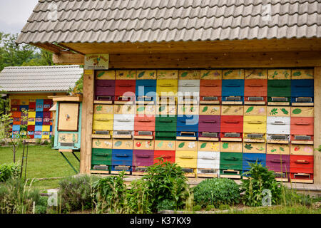 Colorati dipinti tradizionalmente apiario beehive case Kralov Med in Selo vicino a Bled Slovenia con Spring Garden Foto Stock