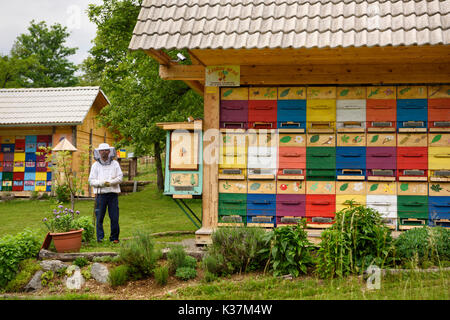 Apicoltore locale Blaz Ambrozic con colorati dipinti di apiario beehive case Kralov Med in Selo vicino a Bled Slovenia in primavera Foto Stock